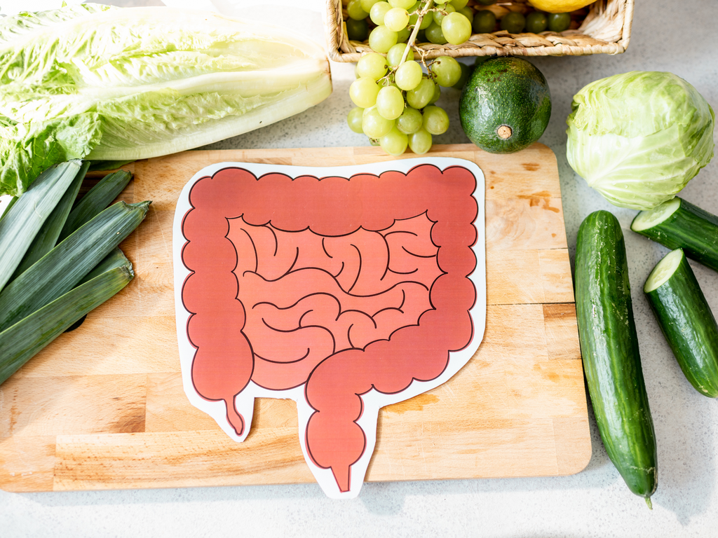 The Link Between Food and Gut Microbiome: Unveiling the Hidden Connection